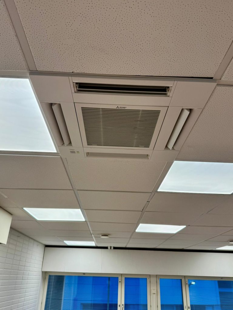 WhatsApp Image 2025-04-28 at 10.43.27 (8)